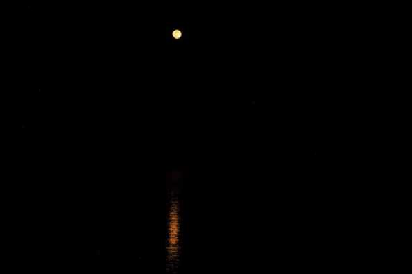08 April 2020 - 21-25-43 
It was simply impossible (with my limited skills) to make this moonrise picture work. Either the moon looked good, or the reflection looked good. This was the poor compromise.
--------------------
Kingswear moonrise